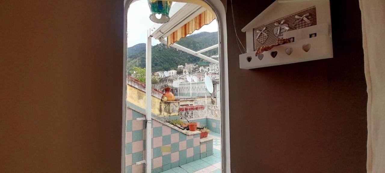 Judith Wright'S Home 마이오리 외부 사진